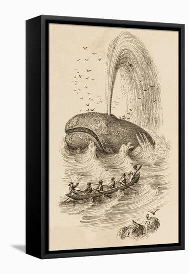 Catching Sperm Whales-null-Framed Stretched Canvas