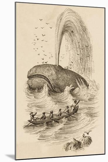 Catching Sperm Whales-null-Mounted Art Print