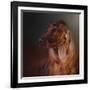 Catching the Breeze Irish Setter-Jai Johnson-Framed Giclee Print