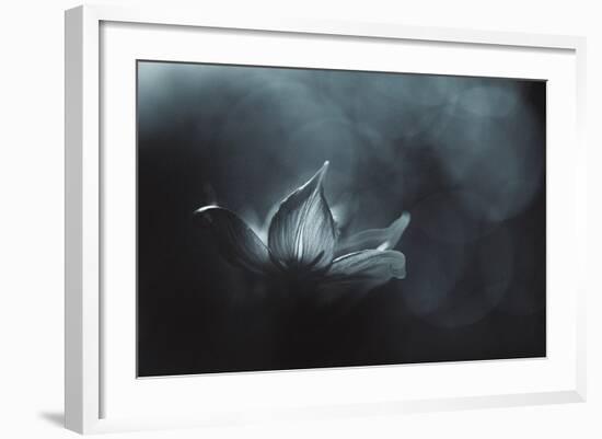 Catching the Light-Penny Myles-Framed Photographic Print