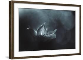 Catching the Light-Penny Myles-Framed Photographic Print