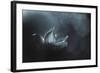 Catching the Light-Penny Myles-Framed Photographic Print