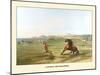 Catching The Wild Horse-George Catlin-Mounted Art Print