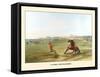 Catching The Wild Horse-George Catlin-Framed Stretched Canvas