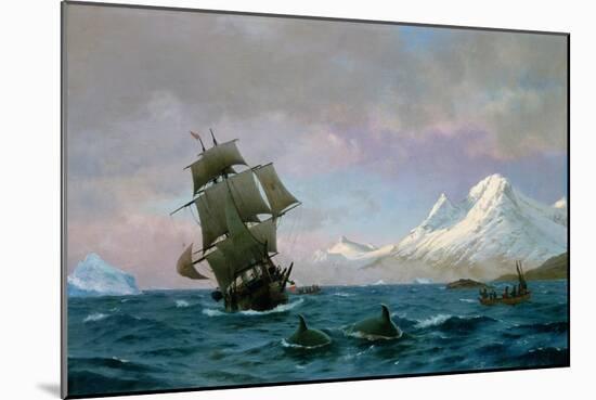 Catching Whales, 1875-J.E. Carl Rasmussen-Mounted Giclee Print