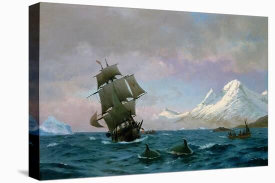 Catching Whales, 1875-J.E. Carl Rasmussen-Stretched Canvas