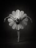 Floral Ballet-Catchlight Studio-Photographic Print