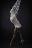 Sheer Stretch-Catchlight Studio-Photographic Print