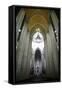 Catedral da Se, Sao Paulo, Brazil, South America-Yadid Levy-Framed Stretched Canvas