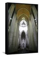 Catedral da Se, Sao Paulo, Brazil, South America-Yadid Levy-Framed Stretched Canvas