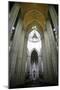 Catedral da Se, Sao Paulo, Brazil, South America-Yadid Levy-Mounted Photographic Print