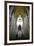 Catedral da Se, Sao Paulo, Brazil, South America-Yadid Levy-Framed Photographic Print