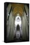 Catedral da Se, Sao Paulo, Brazil, South America-Yadid Levy-Framed Stretched Canvas