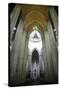 Catedral da Se, Sao Paulo, Brazil, South America-Yadid Levy-Stretched Canvas