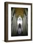 Catedral da Se, Sao Paulo, Brazil, South America-Yadid Levy-Framed Photographic Print