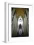 Catedral da Se, Sao Paulo, Brazil, South America-Yadid Levy-Framed Photographic Print