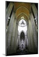 Catedral da Se, Sao Paulo, Brazil, South America-Yadid Levy-Mounted Photographic Print