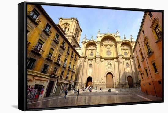 Catedral De Granada, Granada, Andalucia, Spain-Carlo Morucchio-Framed Stretched Canvas