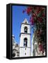 Catedral De San Cristobal, Old Havana, Havana, Cuba, West Indies, Central America-R H Productions-Framed Stretched Canvas