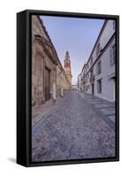 Catedral Mosque of Cordoba, Bell Tower, Cordoba, Andalucia, Spain-Rob Tilley-Framed Stretched Canvas