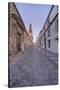 Catedral Mosque of Cordoba, Bell Tower, Cordoba, Andalucia, Spain-Rob Tilley-Stretched Canvas