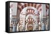 Catedral Mosque of Cordoba, Interior, Cordoba, Andalucia, Spain-Rob Tilley-Framed Stretched Canvas