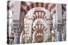 Catedral Mosque of Cordoba, Interior, Cordoba, Andalucia, Spain-Rob Tilley-Stretched Canvas