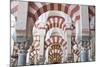 Catedral Mosque of Cordoba, Interior, Cordoba, Andalucia, Spain-Rob Tilley-Mounted Photographic Print