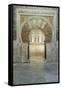 Catedral Mosque of Cordoba, Interior, Cordoba, Andalucia, Spain-Rob Tilley-Framed Stretched Canvas