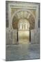 Catedral Mosque of Cordoba, Interior, Cordoba, Andalucia, Spain-Rob Tilley-Mounted Photographic Print