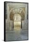 Catedral Mosque of Cordoba, Interior, Cordoba, Andalucia, Spain-Rob Tilley-Framed Stretched Canvas