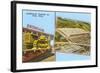 Caterpillar Tractor Company, Peoria, Illinois-null-Framed Art Print