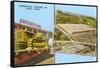 Caterpillar Tractor Company, Peoria, Illinois-null-Framed Stretched Canvas