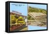 Caterpillar Tractor Company, Peoria, Illinois-null-Framed Stretched Canvas