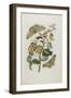 Caterpillars, Butterflies and Flower, 1705-1771-Maria Sibylla Graff Merian-Framed Giclee Print