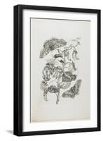 Caterpillars, Butterflies, and Flower, 1705-1771-Maria Sibylla Graff Merian-Framed Giclee Print
