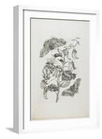 Caterpillars, Butterflies, and Flower, 1705-1771-Maria Sibylla Graff Merian-Framed Giclee Print