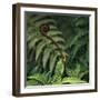 Caterpillars on a Fern-Micha Pawlitzki-Framed Photographic Print