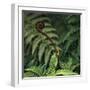 Caterpillars on a Fern-Micha Pawlitzki-Framed Photographic Print