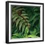 Caterpillars on a Fern-Micha Pawlitzki-Framed Premium Photographic Print