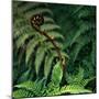 Caterpillars on a Fern-Micha Pawlitzki-Mounted Premium Photographic Print