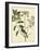 Catesby Bird and Botanical I-Mark Catesby-Framed Art Print