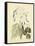 Catesby Bird & Botanical II-Mark Catesby-Framed Stretched Canvas