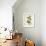 Catesby Bird & Botanical IV-Mark Catesby-Framed Art Print displayed on a wall