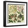 Catesby Botanical Quadrant I-Mark Catesby-Framed Art Print