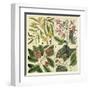 Catesby Botanical Quadrant I-Mark Catesby-Framed Art Print