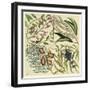 Catesby Botanical Quadrant IV-Mark Catesby-Framed Art Print