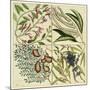 Catesby Botanical Quadrant IV-Mark Catesby-Mounted Art Print