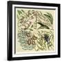 Catesby Botanical Quadrant IV-Mark Catesby-Framed Art Print