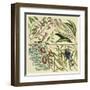 Catesby Botanical Quadrant IV-Mark Catesby-Framed Art Print